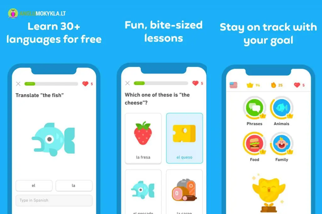 Anglų Kalbos Programėlė Duolingo