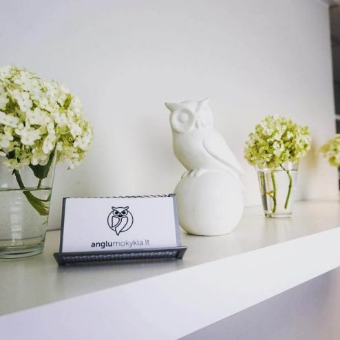 Anglų Kalbos Pamokos, Korepetitoriai