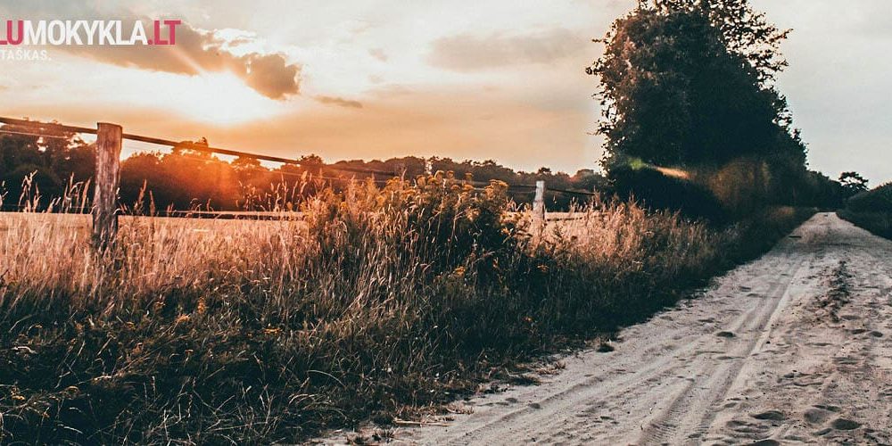 Anglų Kalba Keliaujant: Frazės, Žodynas ir Patarimai (2025) Anglų Kalba Keliaujant: Frazės, Žodynas ir Patarimai (2025)