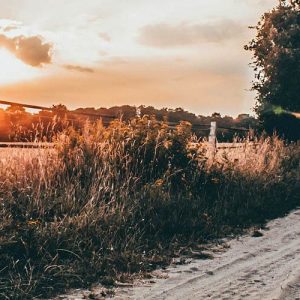 Anglų Kalba Keliaujant: Frazės, Žodynas ir Patarimai (2025)