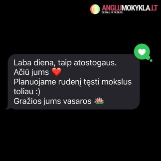 Anglų kalbos mokyklos atsiliepimai, 2024